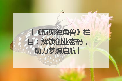 《预见独角兽》栏目：解锁创业密码，助力梦想启航