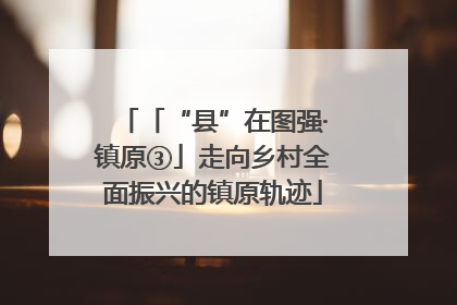 「“县”在图强·镇原③」走向乡村全面振兴的镇原轨迹