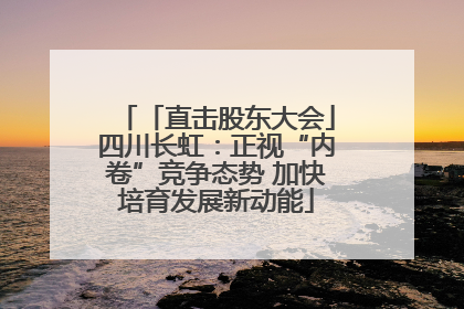 「直击股东大会」四川长虹：正视“内卷”竞争态势 加快培育发展新动能