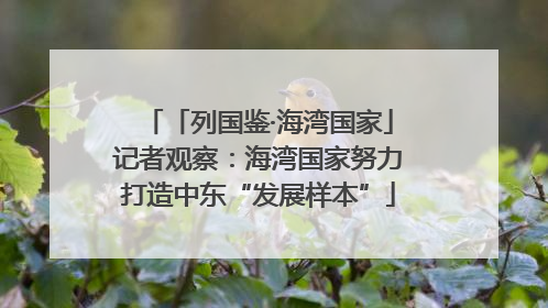 「列国鉴·海湾国家」记者观察：海湾国家努力打造中东“发展样本”