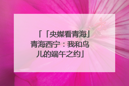 「央媒看青海」青海西宁：我和鸟儿的端午之约