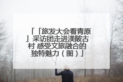 「旅发大会看青原」采访团走进渼陂古村 感受文旅融合的独特魅力（图）