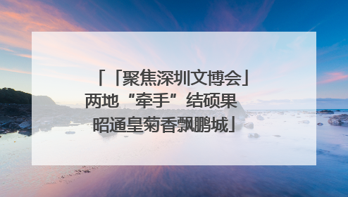 「聚焦深圳文博会」两地“牵手”结硕果 昭通皇菊香飘鹏城