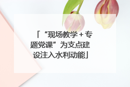 “现场教学＋专题党课”为支点建设注入水利动能