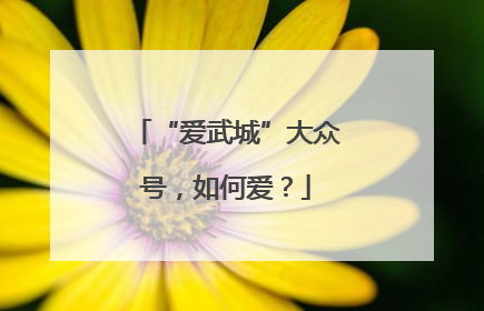 “爱武城”大众号，如何爱？