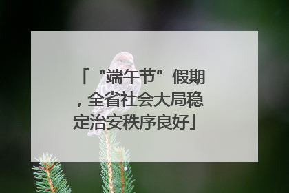 “端午节”假期，全省社会大局稳定治安秩序良好