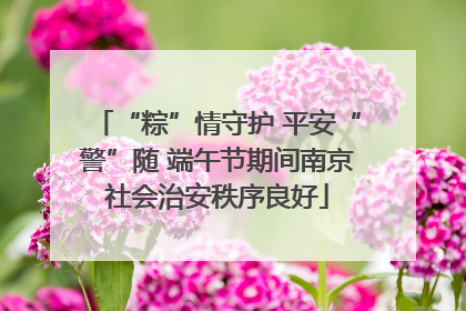 “粽”情守护 平安“警”随 端午节期间南京社会治安秩序良好