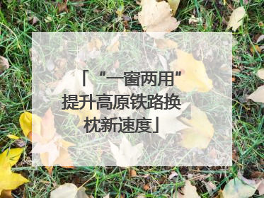 “一窗两用”提升高原铁路换枕新速度