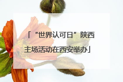 “世界认可日”陕西主场活动在西安举办