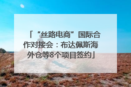 “丝路电商”国际合作对接会：布达佩斯海外仓等8个项目签约