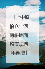 “中原粮仓”河南耕地面积实现四年连增