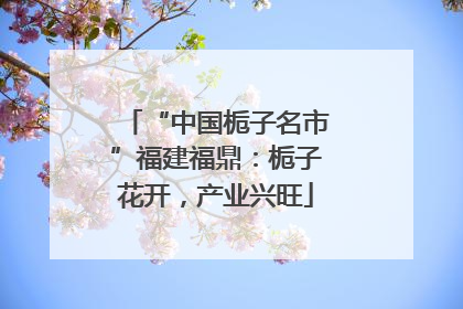 “中国栀子名市”福建福鼎：栀子花开，产业兴旺