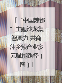 “中国辣都”主题沙龙集智聚力 共商萍乡辣产业多元赋能路径（图）