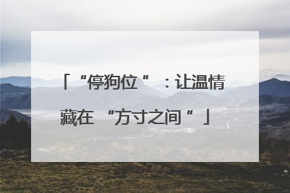 “停狗位 ”：让温情藏在 “方寸之间 ”