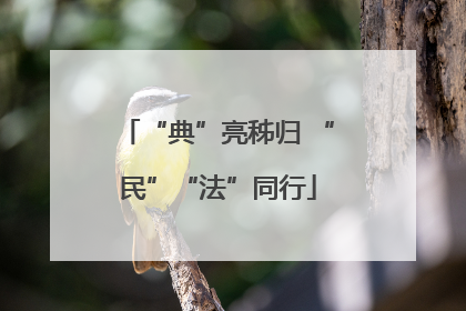 “典”亮秭归 “民”“法”同行