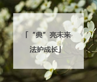 “典”亮未来 法护成长