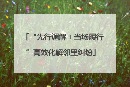 “先行调解＋当场履行”高效化解邻里纠纷