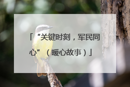 “关键时刻，军民同心”（暖心故事）