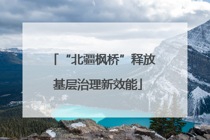 “北疆枫桥”释放基层治理新效能