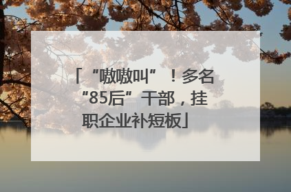 “嗷嗷叫”！多名“85后”干部，挂职企业补短板