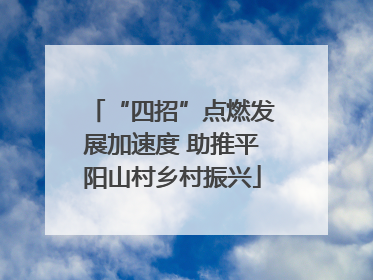 “四招”点燃发展加速度 助推平阳山村乡村振兴