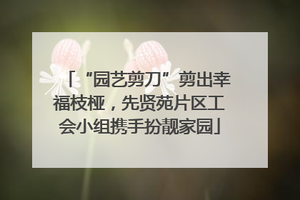 “园艺剪刀”剪出幸福枝桠，先贤苑片区工会小组携手扮靓家园