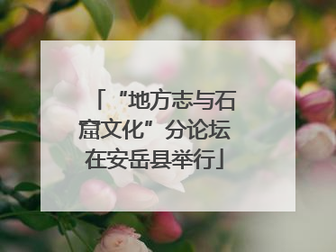 “地方志与石窟文化”分论坛在安岳县举行
