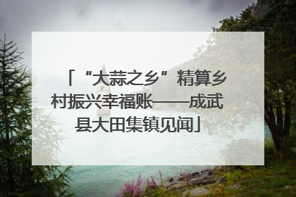 “大蒜之乡”精算乡村振兴幸福账——成武县大田集镇见闻