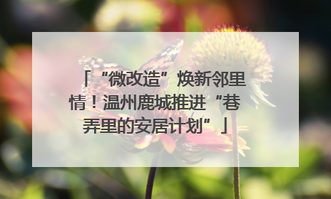 “微改造”焕新邻里情！温州鹿城推进“巷弄里的安居计划”