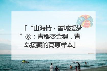 “山海情・雪域援梦”⑧：青稞变金稞，青岛援藏的高原样本