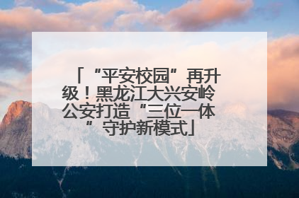 “平安校园”再升级！黑龙江大兴安岭公安打造“三位一体”守护新模式
