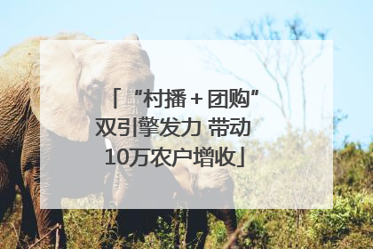 “村播＋团购”双引擎发力 带动10万农户增收