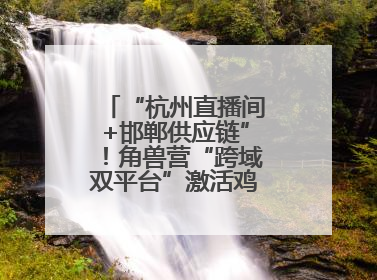 “杭州直播间+邯郸供应链”！角兽营“跨域双平台”激活鸡泽产业新动能
