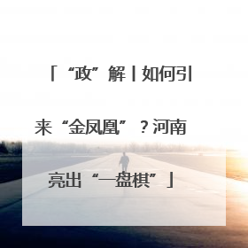 “政”解丨如何引来“金凤凰”？河南亮出“一盘棋”