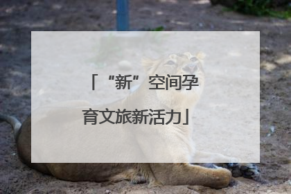 “新”空间孕育文旅新活力