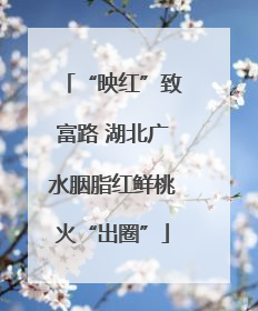 “映红”致富路 湖北广水胭脂红鲜桃火“出圈”