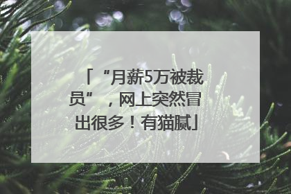 “月薪5万被裁员”，网上突然冒出很多！有猫腻