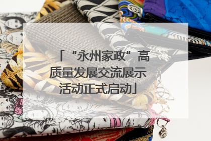 “永州家政”高质量发展交流展示活动正式启动