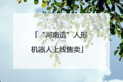 “河南造”人形机器人上线售卖