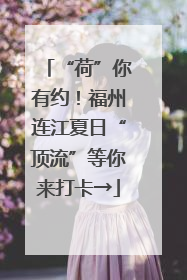 “荷”你有约！福州连江夏日“顶流”等你来打卡→