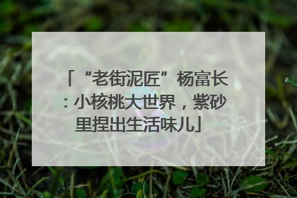 “老街泥匠”杨富长：小核桃大世界，紫砂里捏出生活味儿