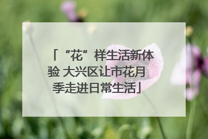 “花”样生活新体验 大兴区让市花月季走进日常生活