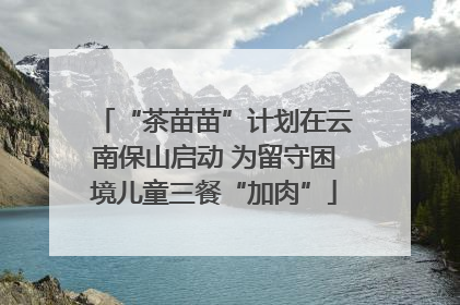 “茶苗苗”计划在云南保山启动 为留守困境儿童三餐“加肉”