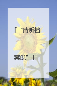“请听档案说”