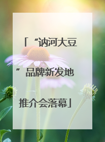 “讷河大豆”品牌新发地推介会落幕