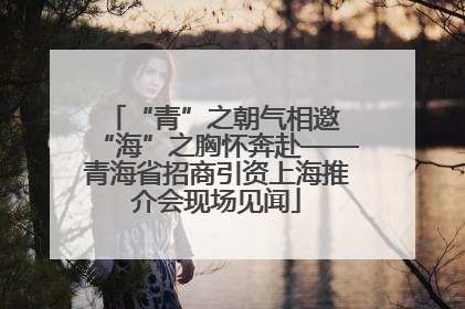 “青”之朝气相邀 “海”之胸怀奔赴——青海省招商引资上海推介会现场见闻