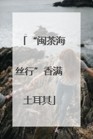“闽茶海丝行”香满土耳其
