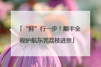 “鲜”行一步！顺丰全程护航东莞荔枝进京