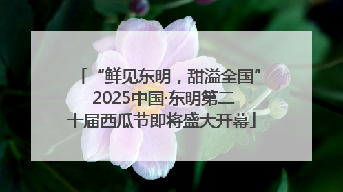 “鲜见东明，甜溢全国” 2025中国·东明第二十届西瓜节即将盛大开幕