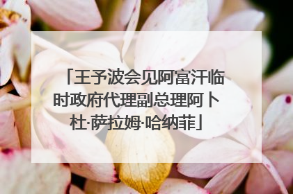 王予波会见阿富汗临时政府代理副总理阿卜杜·萨拉姆·哈纳菲
